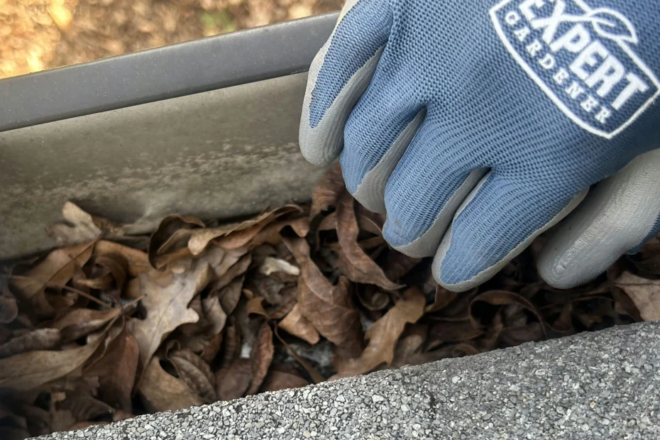 Gutter Cleaning Price Hill